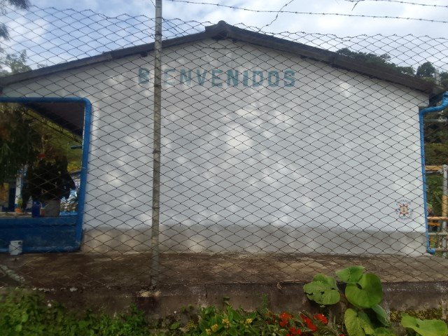 MURALES 2022